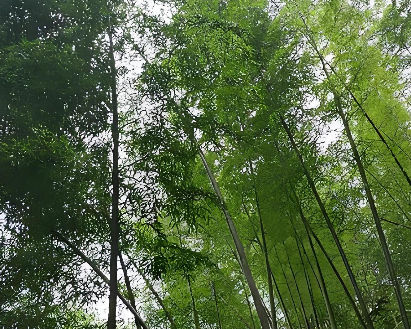 研川科技活動團(tuán)建-東方綠舟之行